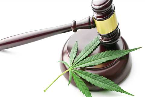 What does drug legalization mean?