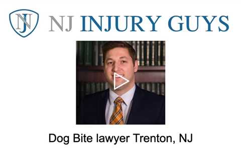 Dog Bite lawyer Trenton, NJ - NJ Injury Guys