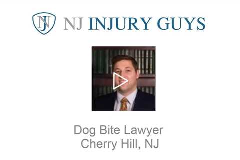 Dog Bite Lawyer Cherry Hill, NJ   NJ Injury Guys