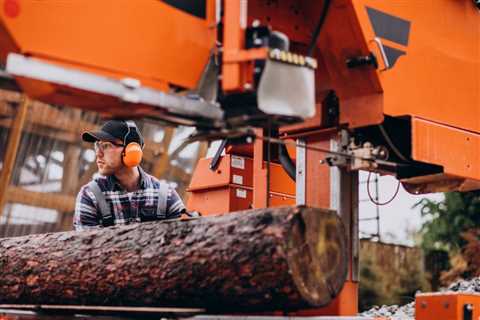 Common Myths about Tree Removal and Disposal