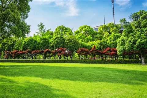 TOP 10 TIPS FOR MAINTAINING HEALTHY TREES ON YOUR PROPERTY