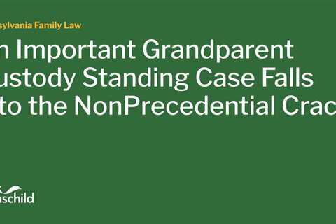 An Important Grandparent Custody Standing Case Falls into the NonPrecedential Crack.