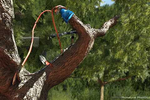 Tree Trimming Hanna UT 84031