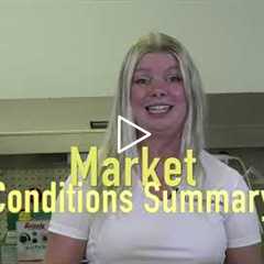 Market Conditions - Inventions Unlimited