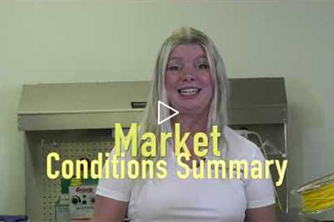 Market Conditions - Inventions Unlimited