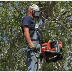 When Looking for Tree Removal What Type of Insurance Should They Have?