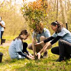 ENCOURAGING COMMUNITY INVOLVEMENT IN TREE PLANTING