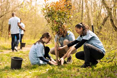 ENCOURAGING COMMUNITY INVOLVEMENT IN TREE PLANTING