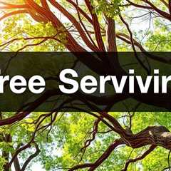 Tree Service Salt Lake City UT 84105 Truco Services (801) 466-8044