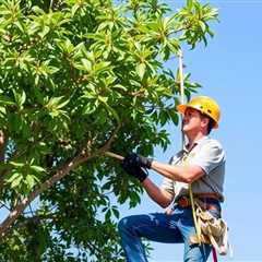 Arborist West Jordan UT 84088