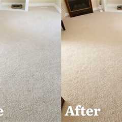 Carpet Cleaning Before And After Pics