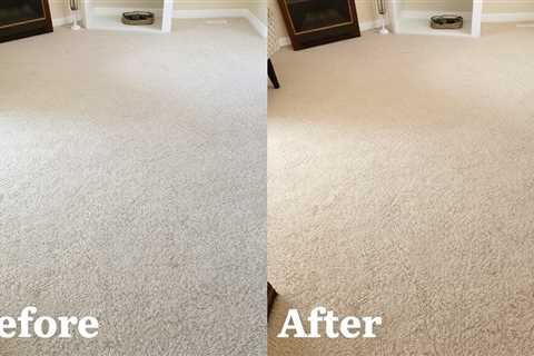 Carpet Cleaning Before And After Pics