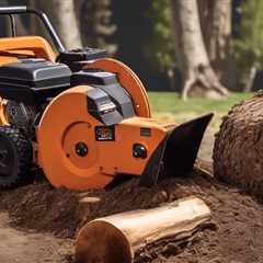 Utah Stump Grinding Process And Tools