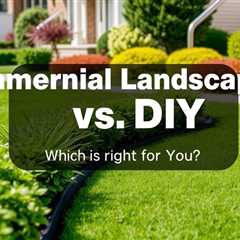 Commercial Landscaper Vs DIY: Which Is Right For You? Truco Services (801) 466–8044