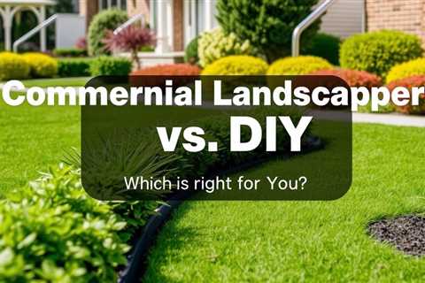 Commercial Landscaper Vs DIY: Which Is Right For You? Truco Services (801) 466–8044