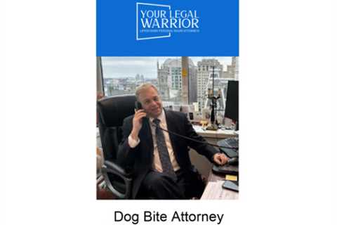 Dog bite attorney Delaware County PA