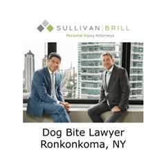 Dog Bite Lawyer Ronkonkoma, NY