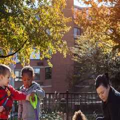 Expert Insights: Understanding Child Support in Northern Kentucky