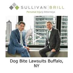 Dog Bite Lawsuits Buffalo, NY - Sullivan Brill Personal Injury Attorneys