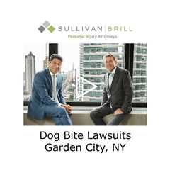 Dog Bite Lawsuits Garden City, NY - Sullivan Brill Personal Injury Attorneys