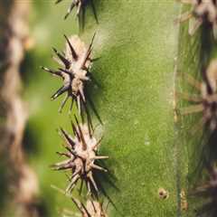 New blog steved851bay6.blogsvirals.com