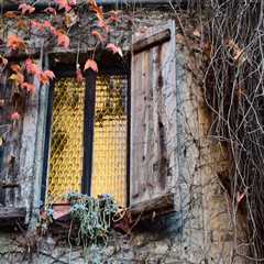 New blog williamp395onm1.vidublog.com