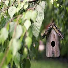 New blog edithv098jud0.thechapblog.com