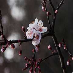 New blog roberte431qcl4.blogsvirals.com