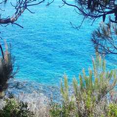 New blog bertolti421mxg1.like-blogs.com