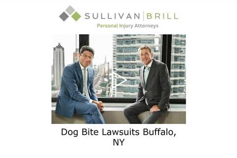 Dog Bite Lawsuits Buffalo, NY - Sullivan Brill Personal Injury Attorneys