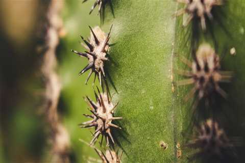 New blog steved851bay6.blogsvirals.com