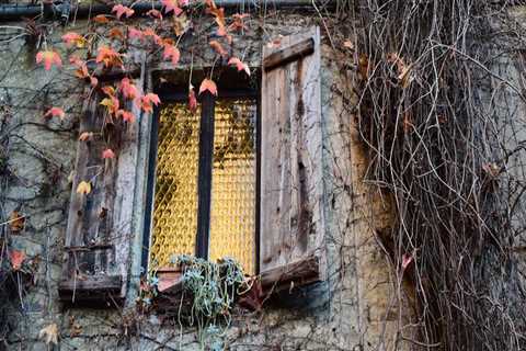 New blog williamp395onm1.vidublog.com