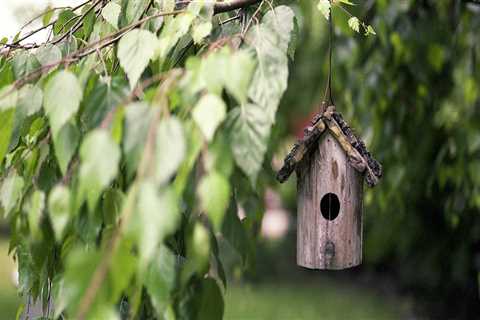 New blog edithv098jud0.thechapblog.com