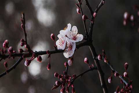 New blog roberte431qcl4.blogsvirals.com