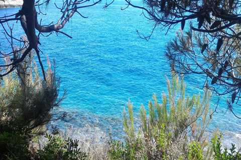 New blog bertolti421mxg1.like-blogs.com