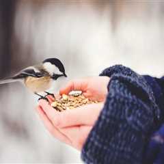 Rumored Buzz on the contract lawyer