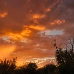 heber city business lawyer Options