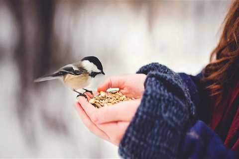 Rumored Buzz on the contract lawyer