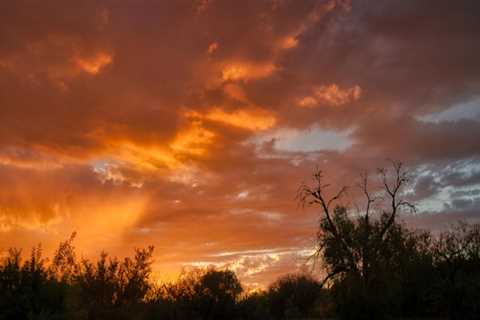 heber city business lawyer Options