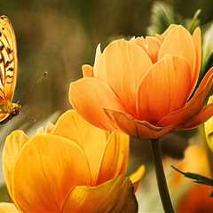 The 2-Minute Rule for Domestic Asset Protection Trusts