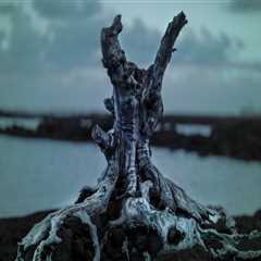 Not known Factual Statements About Trusts Lawyer