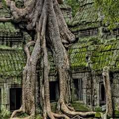 The Ultimate Guide To Salt Lake Gun Trusts Lawyer