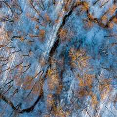 The 2-Minute Rule for Assault & Battery Injury Litigation