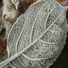 New Step by Step Map For Wealth Planning