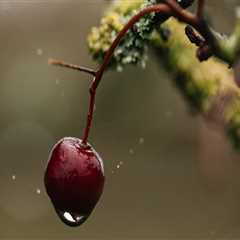 5 Essential Elements For Salt Lake City Estate Planning Lawyers