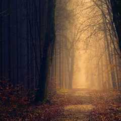 An Unbiased View of Complex Estate Tax